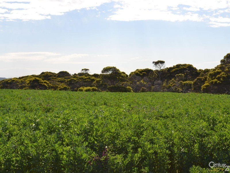 Section 96 North Coast Road, Wisanger SA 5223