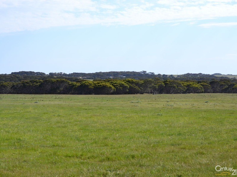 Section 96 North Coast Road, Wisanger SA 5223