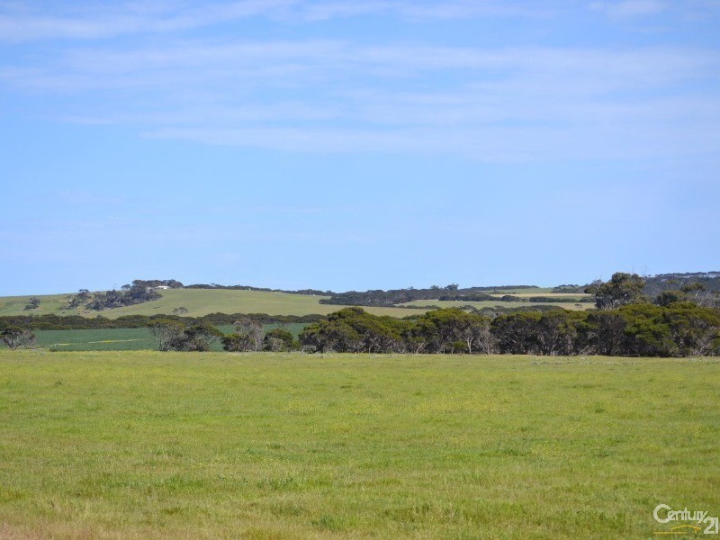 Section 96 North Coast Road, Wisanger SA 5223