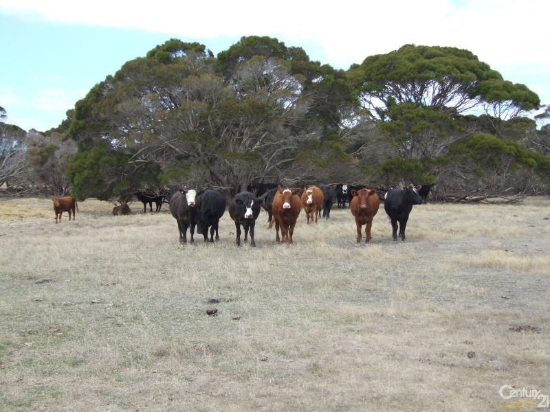 Section 96 North Coast Road, Wisanger SA 5223