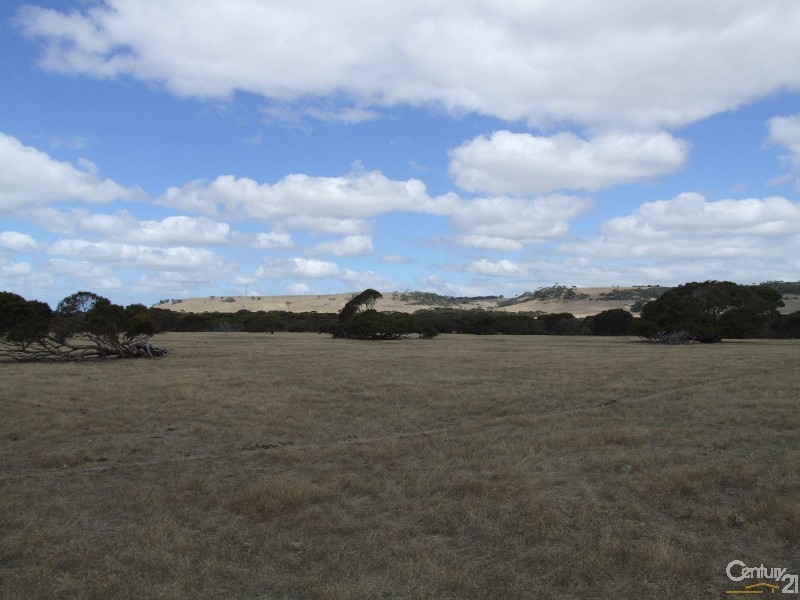 Section 96 North Coast Road, Wisanger SA 5223