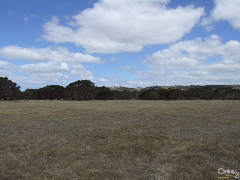 Section 96 North Coast Road, Wisanger SA 5223