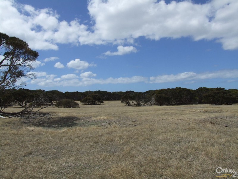 Section 96 North Coast Road, Wisanger SA 5223