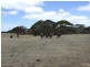 Section 96 North Coast Road, Wisanger SA 5223