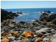 891 Cape Hart Road, Penneshaw SA 5222