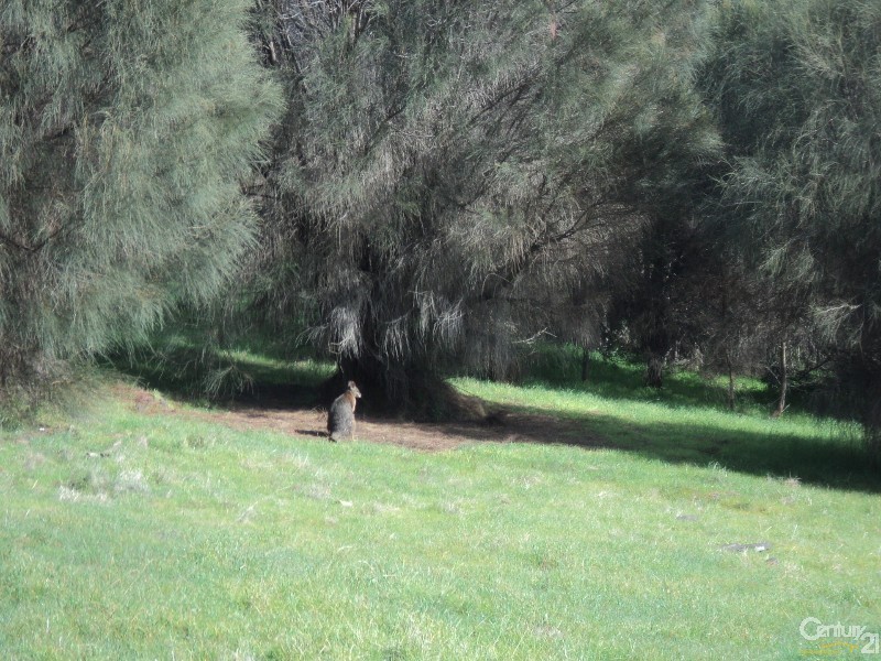 Lot 3 Binneys Track, Penneshaw SA 5222