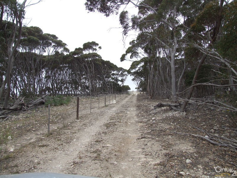 600 Doug Road, Dudley West SA 5222