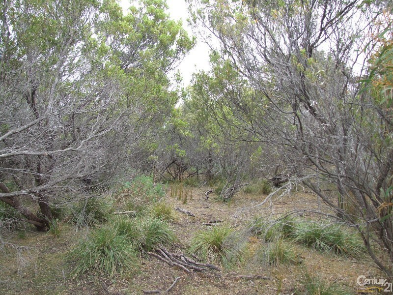 Lot 54 Pennington Road, Island Beach SA 5222