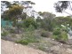 27 Flinders Avenue, Kingscote SA 5223