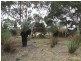 Lot 107 Gosse Ritchie Road, Karatta SA 5223
