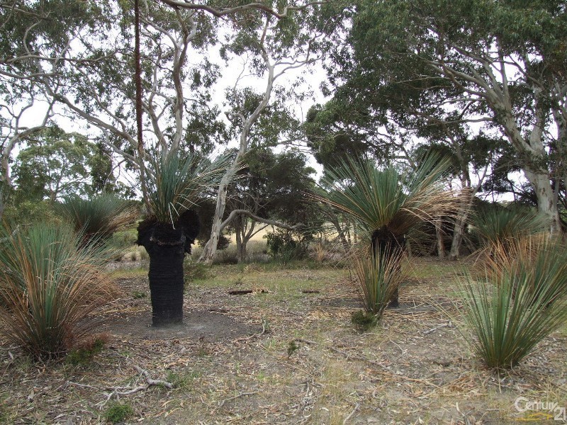 Lot 107 Gosse Ritchie Road, Karatta SA 5223