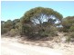Lot 12 Bayview Road, Vivonne Bay SA 5223