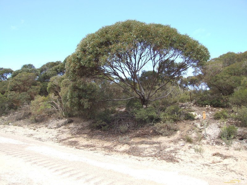 Lot 12 Bayview Road, Vivonne Bay SA 5223