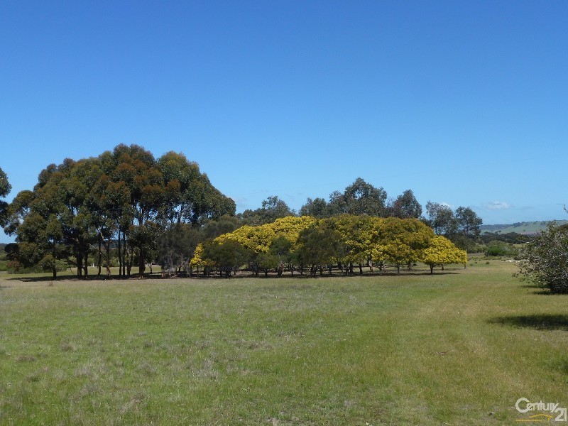 55 Stevens Road, Bay Of Shoals SA 5223