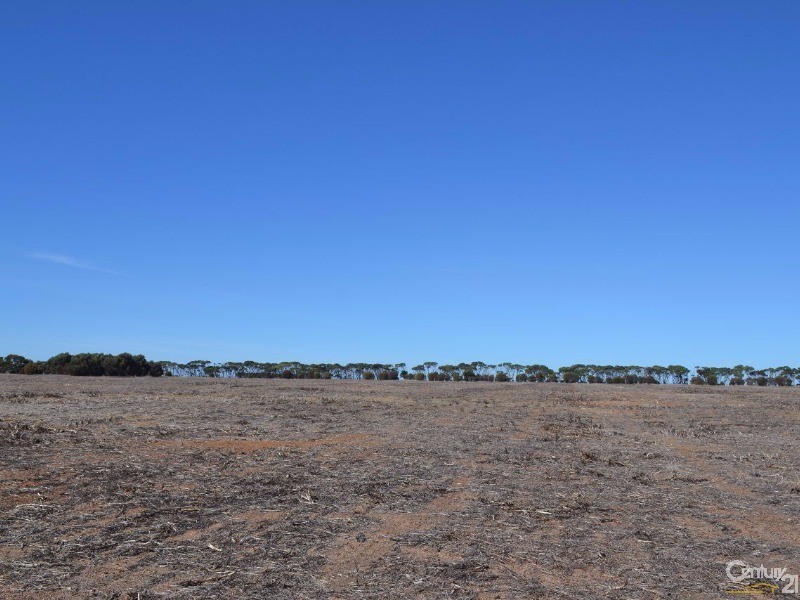 Lot 303 Min Oil Road, Haines SA 5223