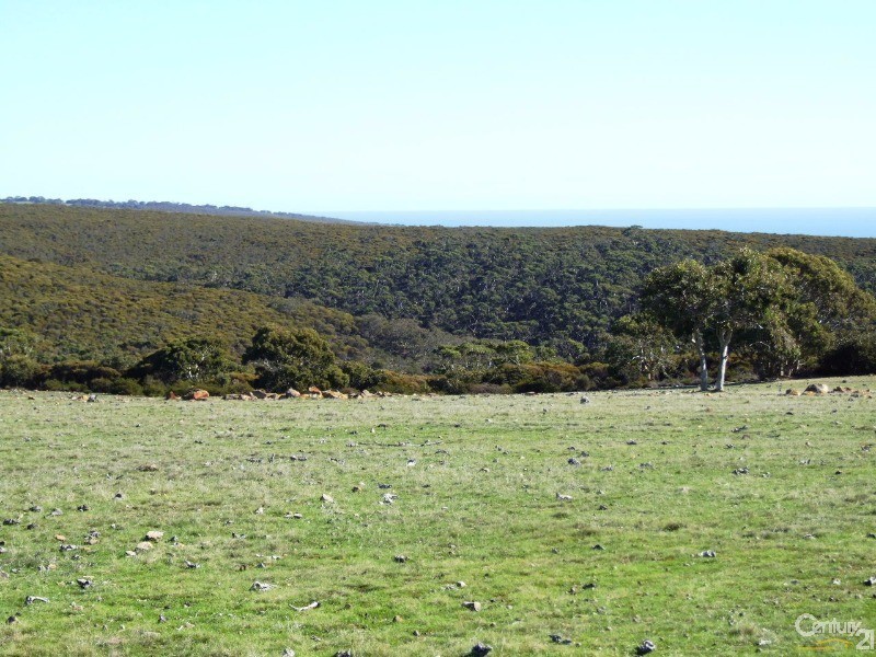 Section 129 Cassini Road, Cassini SA 5223