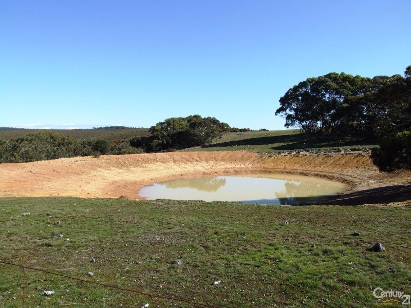 Section 129 Cassini Road, Cassini SA 5223