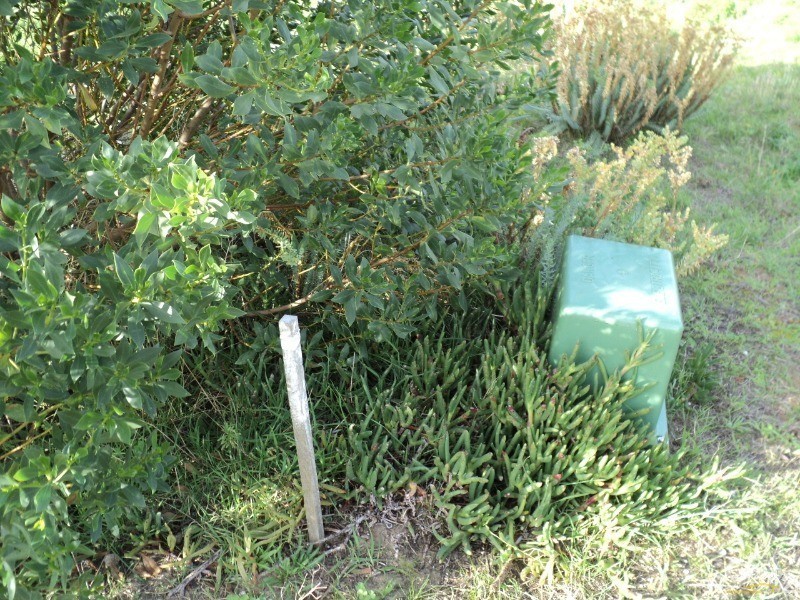 Lot 63 The Esplanade, Baudin Beach SA 5222