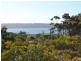 Lot 95 Flinders Grove, Island Beach SA 5222