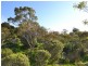 Lot 95 Flinders Grove, Island Beach SA 5222