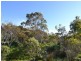 Lot 95 Flinders Grove, Island Beach SA 5222