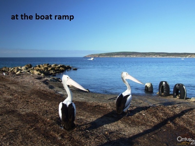 Lot 59 Hawthorn Ave, Emu Bay SA 5223