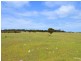Lot 822 Rhynne Road, Bay Of Shoals SA 5223