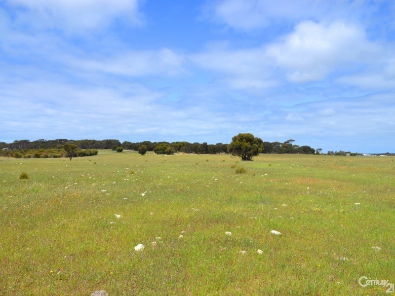 Lot 822 Rhynne Road, Bay Of Shoals SA 5223