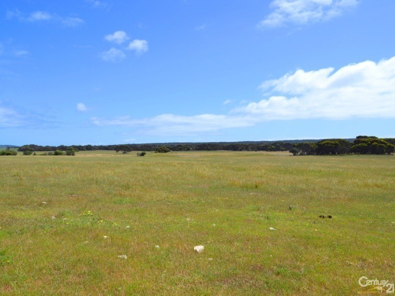 Lot 822 Rhynne Road, Bay Of Shoals SA 5223