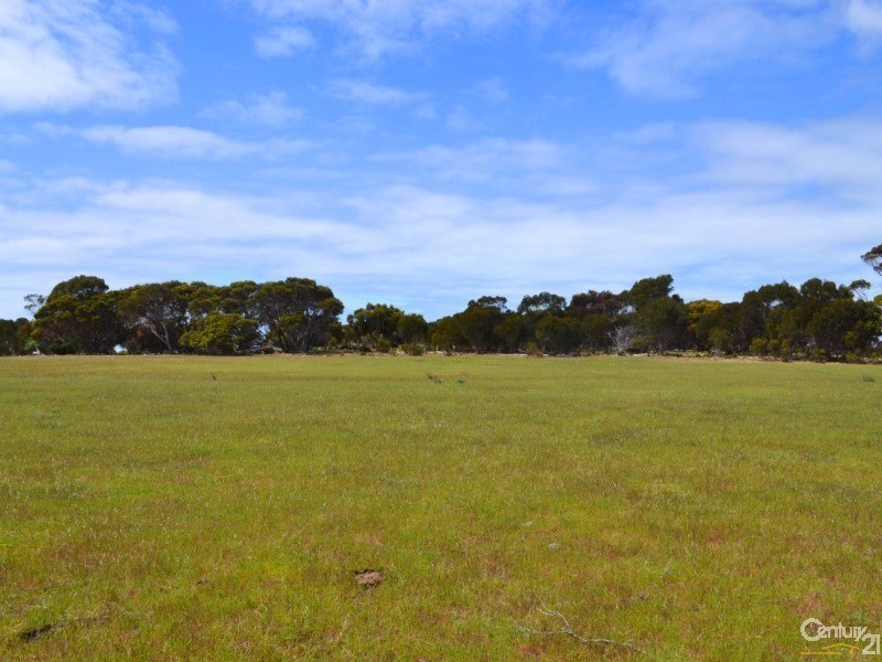 Lot 822 Rhynne Road, Bay Of Shoals SA 5223