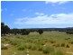 Lot 822 Rhynne Road, Bay Of Shoals SA 5223