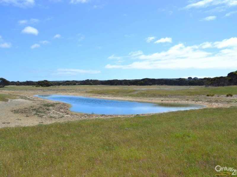 Lot 822 Rhynne Road, Bay Of Shoals SA 5223