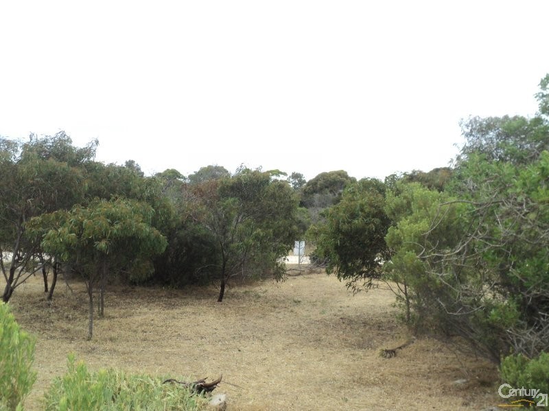 33 Collins Crescent, Baudin Beach SA 5222