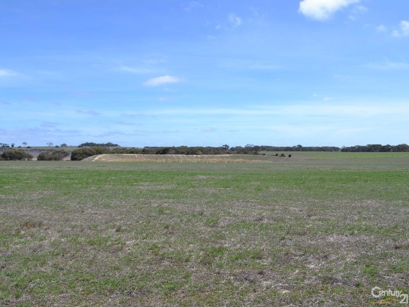 216 West Road, Birchmore SA 5223