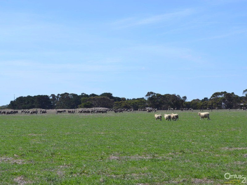 216 West Road, Birchmore SA 5223