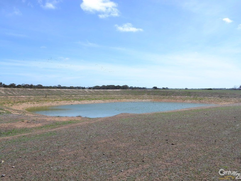 216 West Road, Birchmore SA 5223