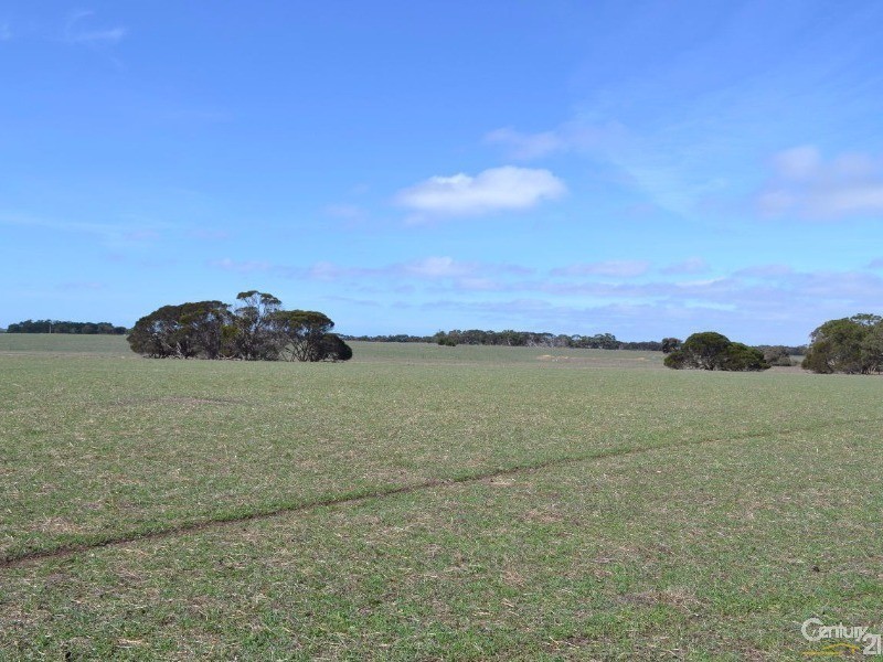 216 West Road, Birchmore SA 5223