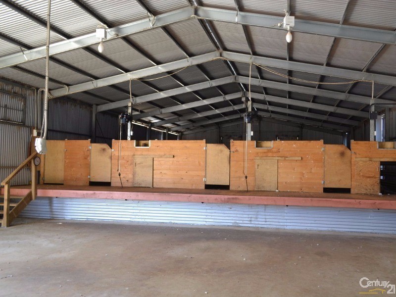 216 West Road, Birchmore SA 5223