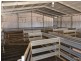 216 West Road, Birchmore SA 5223