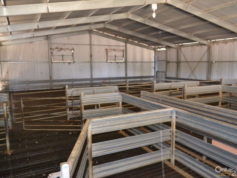 216 West Road, Birchmore SA 5223