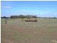 1347 Birchmore Road, Birchmore SA 5223