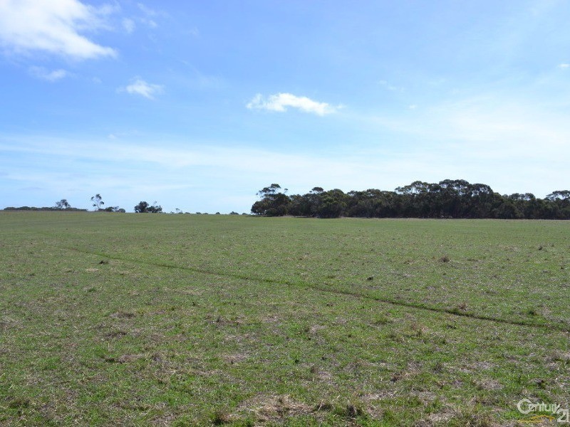 1347 Birchmore Road, Birchmore SA 5223