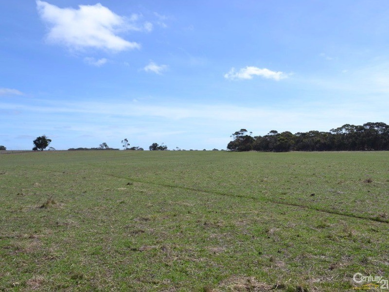 1347 Birchmore Road, Birchmore SA 5223