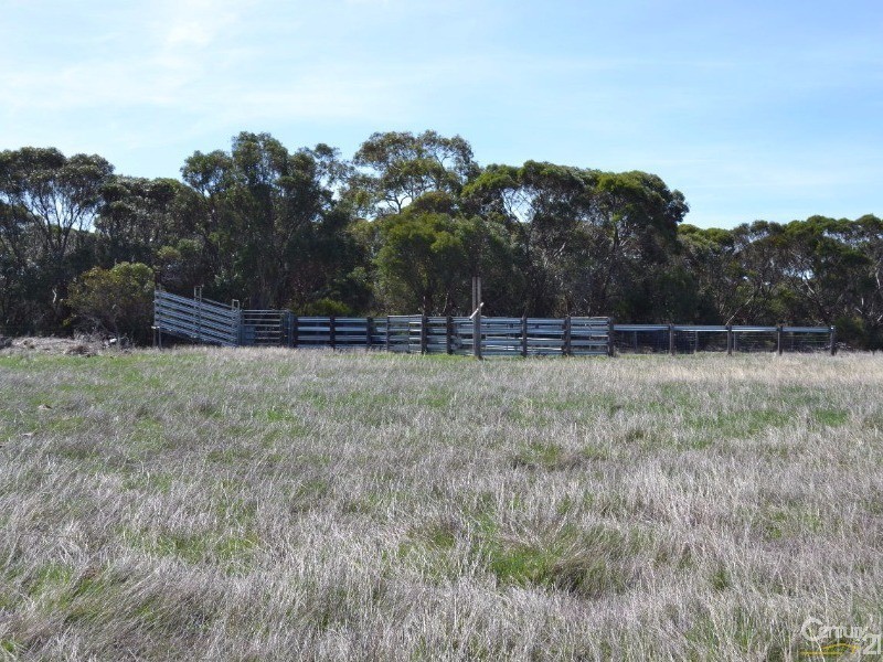 1347 Birchmore Road, Birchmore SA 5223