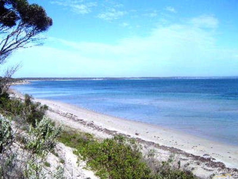 99 Leander Avenue, Baudin Beach SA 5222