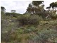 Lot 118 Island Beach, Island Beach SA 5222