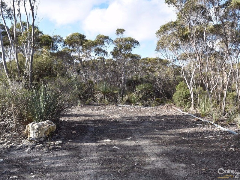 Lot 168 Wild Dog Road, D’estrees Bay SA 5223