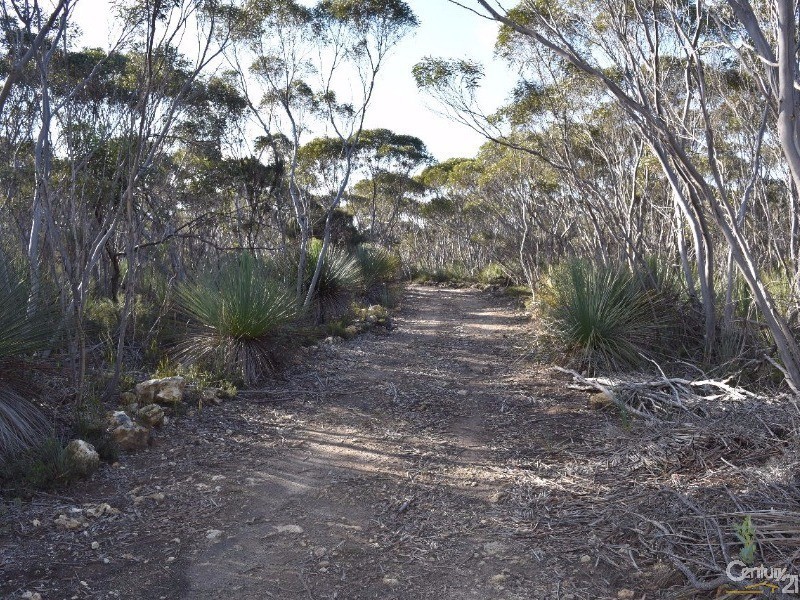 Lot 168 Wild Dog Road, D’estrees Bay SA 5223