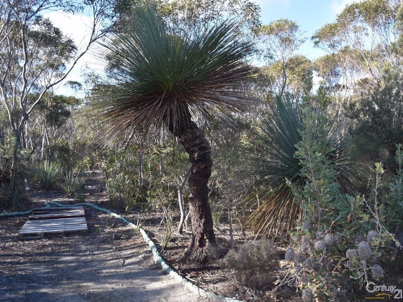 Lot 168 Wild Dog Road, D’estrees Bay SA 5223