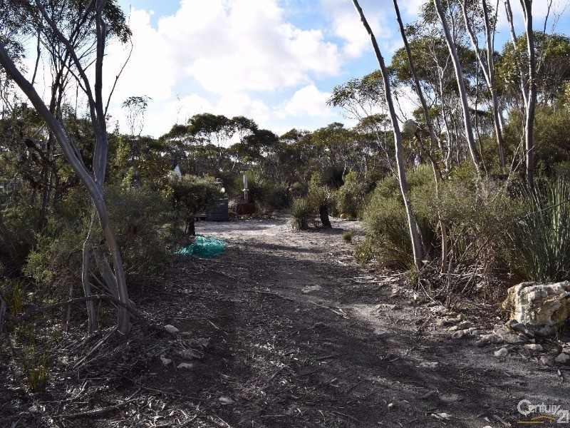 Lot 168 Wild Dog Road, D’estrees Bay SA 5223